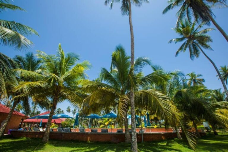Coconut Grove Beach Resort – Elmina