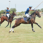 South Africa’s Stunning New Tourism Bridge